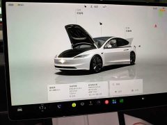 Tesla Model 3 2023 Rear-Wheel Drive - ფოტო 11