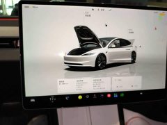 Tesla Model 3 2023 Rear-Wheel Drive - ფოტო 12
