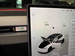 Tesla Model 3 2023 Rear-Wheel Drive - ფოტო 13