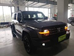 Tank 300 Off-Road Edition 2.0T Conqueror - ფოტო 4