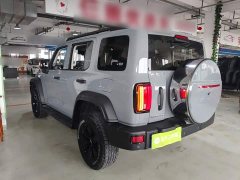 Tank 300 Off-Road Edition 2.0T Conqueror - ფოტო 5