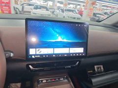 Wuling Starlight 730 New Energy PHEV 125km Luxury - ფოტო 12