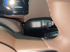 Wuling Starlight 730 New Energy PHEV 125km Luxury - ფოტო 13