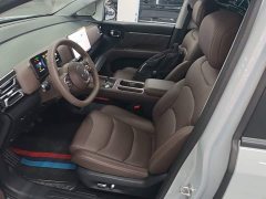 Wuling Starlight 730 New Energy PHEV 125km Luxury - ფოტო 14