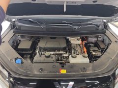 Wuling Starlight 730 New Energy PHEV 125km Luxury - ფოტო 19