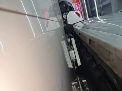 Wuling Starlight 730 New Energy PHEV 125km Luxury - ფოტო 20