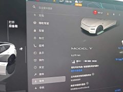 Tesla Model Y Rear-Wheel Drive - ფოტო 12