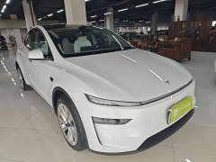 Tesla Model Y Rear-Wheel Drive - ფოტო 4