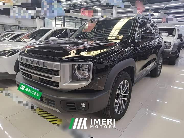 Great Wall Dachshund 2024 1.5T DCT Border Collie Edition - ავტომობილი ჩინეთიდან