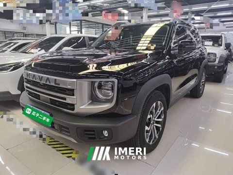 2025 Great Wall Dachshund 2024 1.5T DCT Border Collie Edition - ავტომობილი ჩინეთიდან