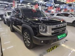 Great Wall Dachshund 2024 1.5T DCT Border Collie Edition - ფოტო 4