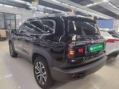 Great Wall Dachshund 2024 1.5T DCT Border Collie Edition - ფოტო 5