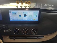 Wuling Binguo 333km Quick Enjoy Edition - ფოტო 12