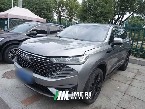 2022 Haval H6 2021 Third Generation 2.0T Automatic AWD Supreme - ავტომობილი ჩინეთიდან