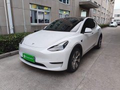 Tesla Model Y Long Range All-Wheel Drive - ფოტო 1