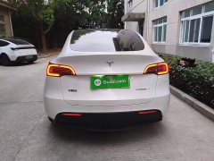 Tesla Model Y Long Range All-Wheel Drive - ფოტო 3