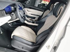 BYD Song Plus New Energy 2023 Champion Edition EV 520KM Luxury - ფოტო 14