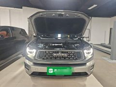 Haval Big Dog PLUS 1.5T Two-Wheel Drive Trendy Wilderness Edition Plus - ფოტო 20