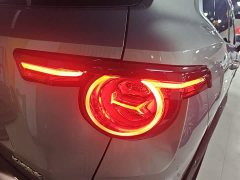 Haval Big Dog PLUS 1.5T Two-Wheel Drive Trendy Wilderness Edition Plus - ფოტო 8