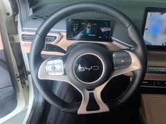 BYD Seagull Glory Edition 405km Flying Edition - ფოტო 11