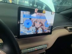 BYD Seagull Glory Edition 405km Flying Edition - ფოტო 13
