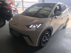 BYD Seagull Glory Edition 405km Flying Edition - ფოტო 2