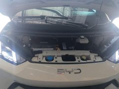 BYD Seagull Glory Edition 405km Flying Edition - ფოტო 20