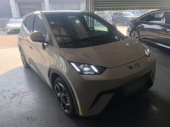 BYD Seagull Glory Edition 405km Flying Edition - ფოტო 4