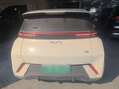 BYD Seagull Glory Edition 405km Flying Edition - ფოტო 6