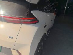 BYD Seagull Glory Edition 405km Flying Edition - ფოტო 8