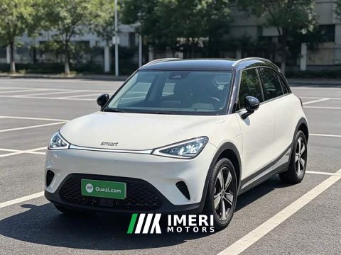 2025 Smart Spirit #1 2024 Agile Standard Edition - ავტომობილი ჩინეთიდან