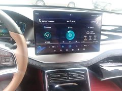 BYD Yuan Plus DM-i 2021 2.0T AWD Performance Luxury Edition - ფოტო 13