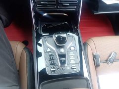 BYD Yuan Plus DM-i 2021 2.0T AWD Performance Luxury Edition - ფოტო 14