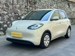 Wuling Binguo 2025 203km Light Enjoy Edition - ფოტო 1