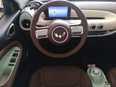 Wuling Binguo 2025 203km Light Enjoy Edition - ფოტო 10