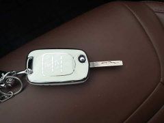 Wuling Binguo 2025 203km Light Enjoy Edition - ფოტო 8