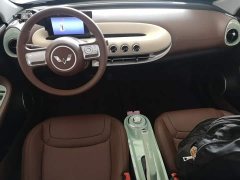 Wuling Binguo 2025 203km Light Enjoy Edition - ფოტო 9