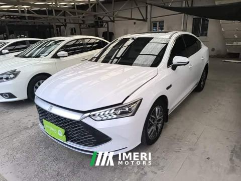 2024 BYD Qin PLUS Champion Edition DM-i 55KM Exceed