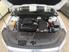 BYD Qin PLUS 2023 Champion Edition DM-i 55KM Exceed - ფოტო 19