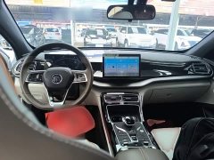 BYD Qin PLUS 2023 Champion Edition DM-i 55KM Exceed - ფოტო 9