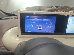 Wuling Binguo 333km Joy Edition - ფოტო 11