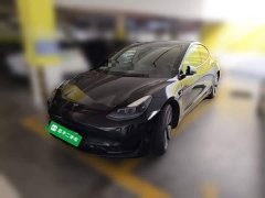 Tesla Model 3 Rear-Wheel Drive - ფოტო 1