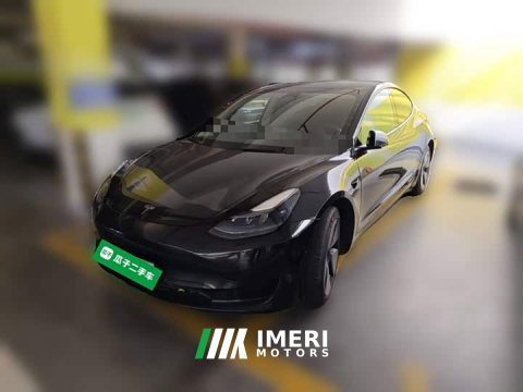 2022 Tesla Model 3 Rear-Wheel Drive - ავტომობილი ჩინეთიდან