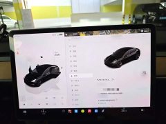 Tesla Model 3 Rear-Wheel Drive - ფოტო 3