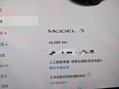 Tesla Model 3 Rear-Wheel Drive - ფოტო 4