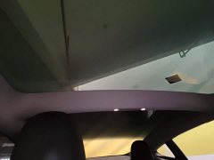 Tesla Model 3 Rear-Wheel Drive - ფოტო 8