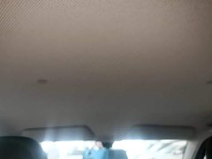 Wuling Hongguang MINIEV 2020 Deluxe Edition LFP Battery - ფოტო 17