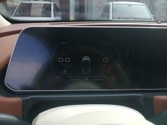 ORA Good Cat 401km Standard Range Deluxe Edition LFP Battery - ფოტო 12