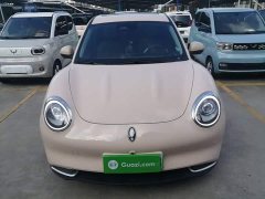 ORA Good Cat 401km Standard Range Deluxe Edition LFP Battery - ფოტო 3