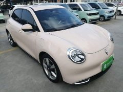 ORA Good Cat 401km Standard Range Deluxe Edition LFP Battery - ფოტო 4